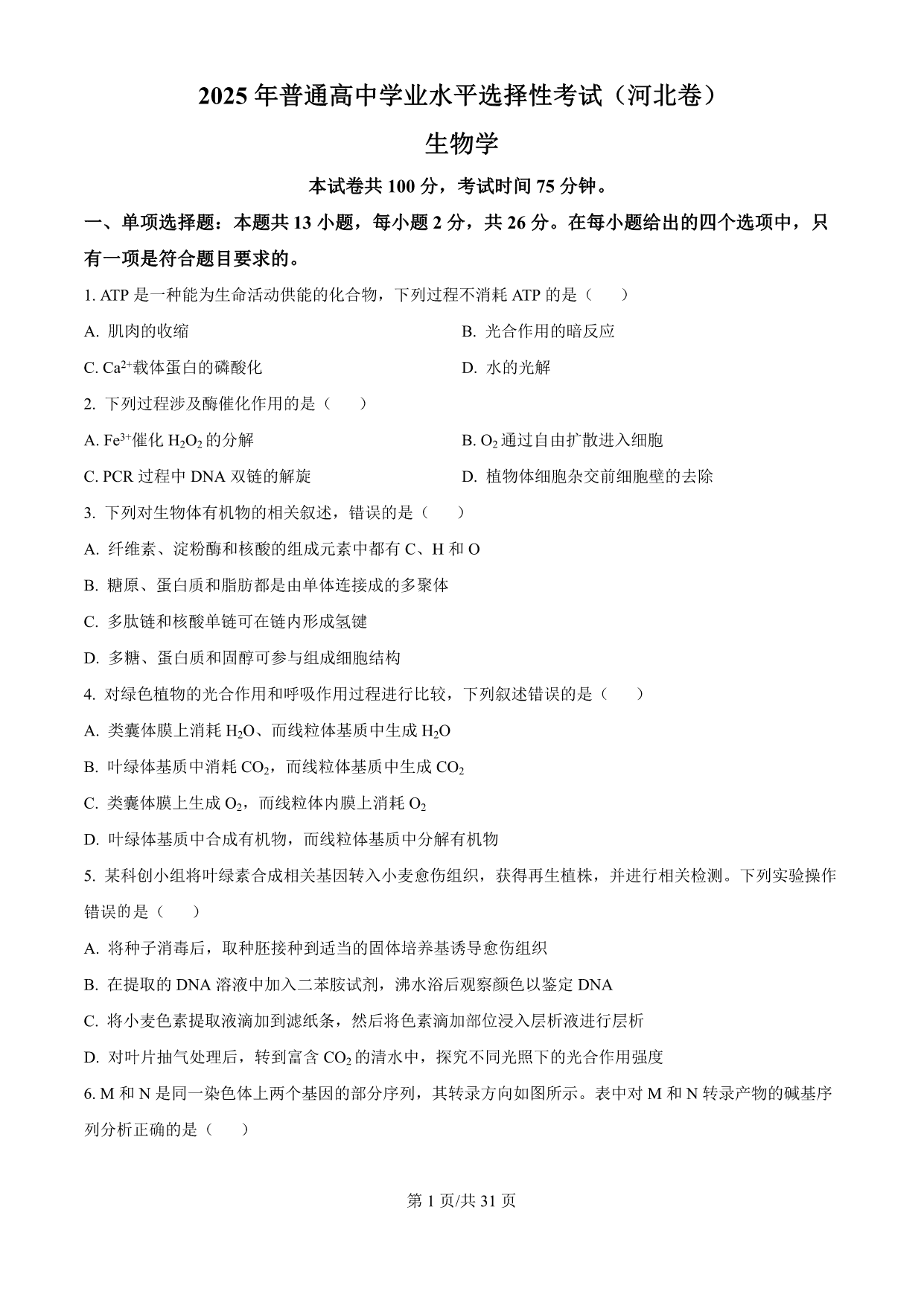试卷预览图