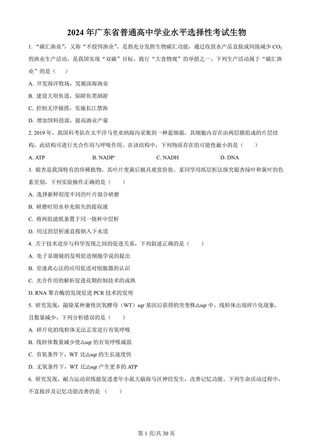 试卷预览图