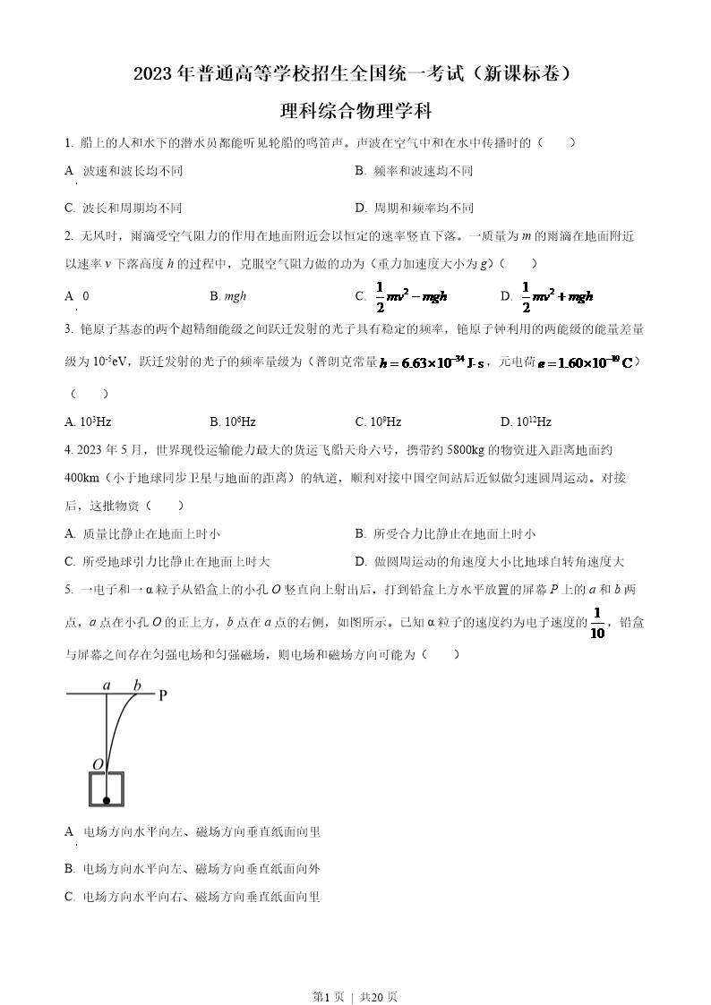 试卷预览图