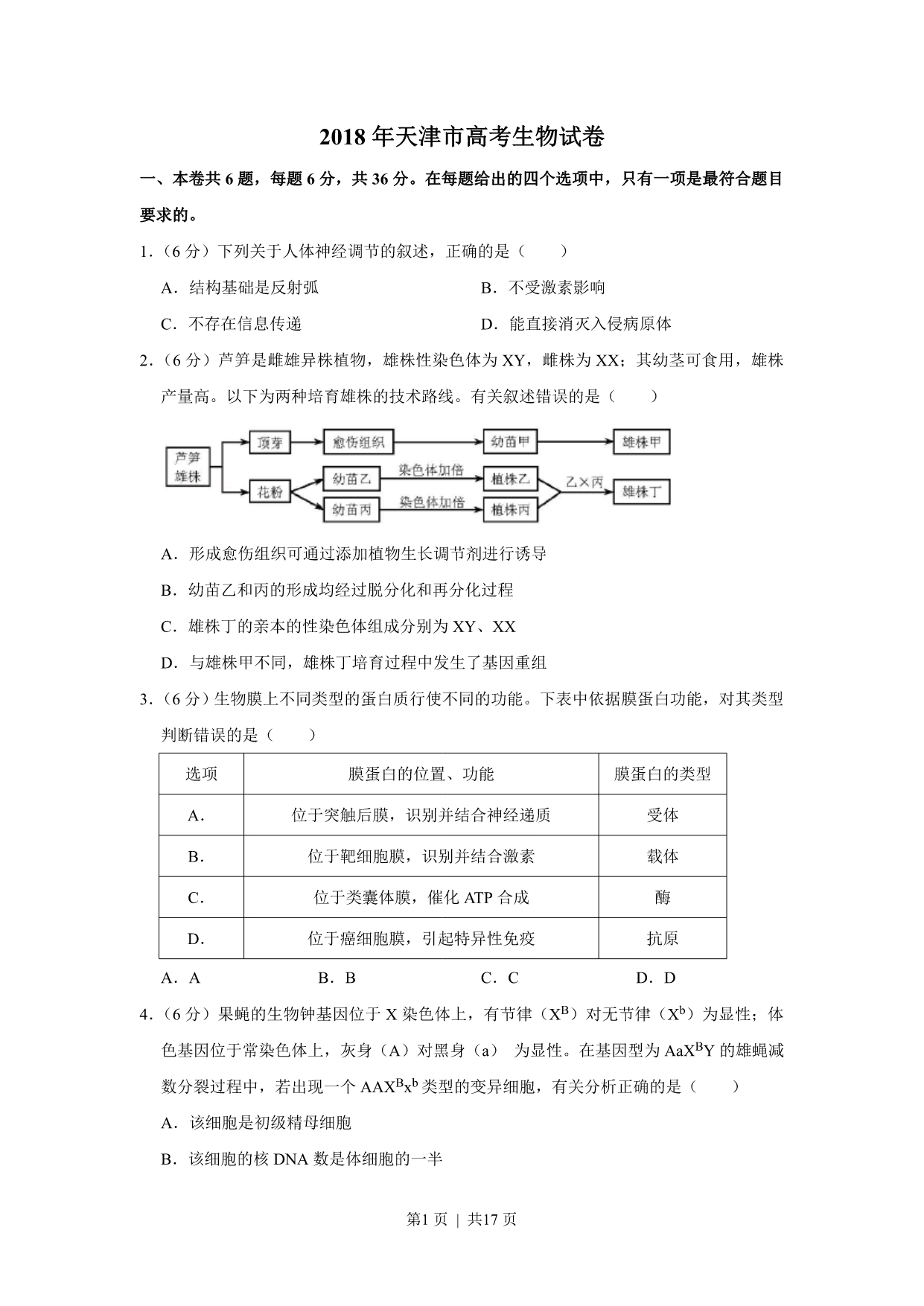 试卷预览图