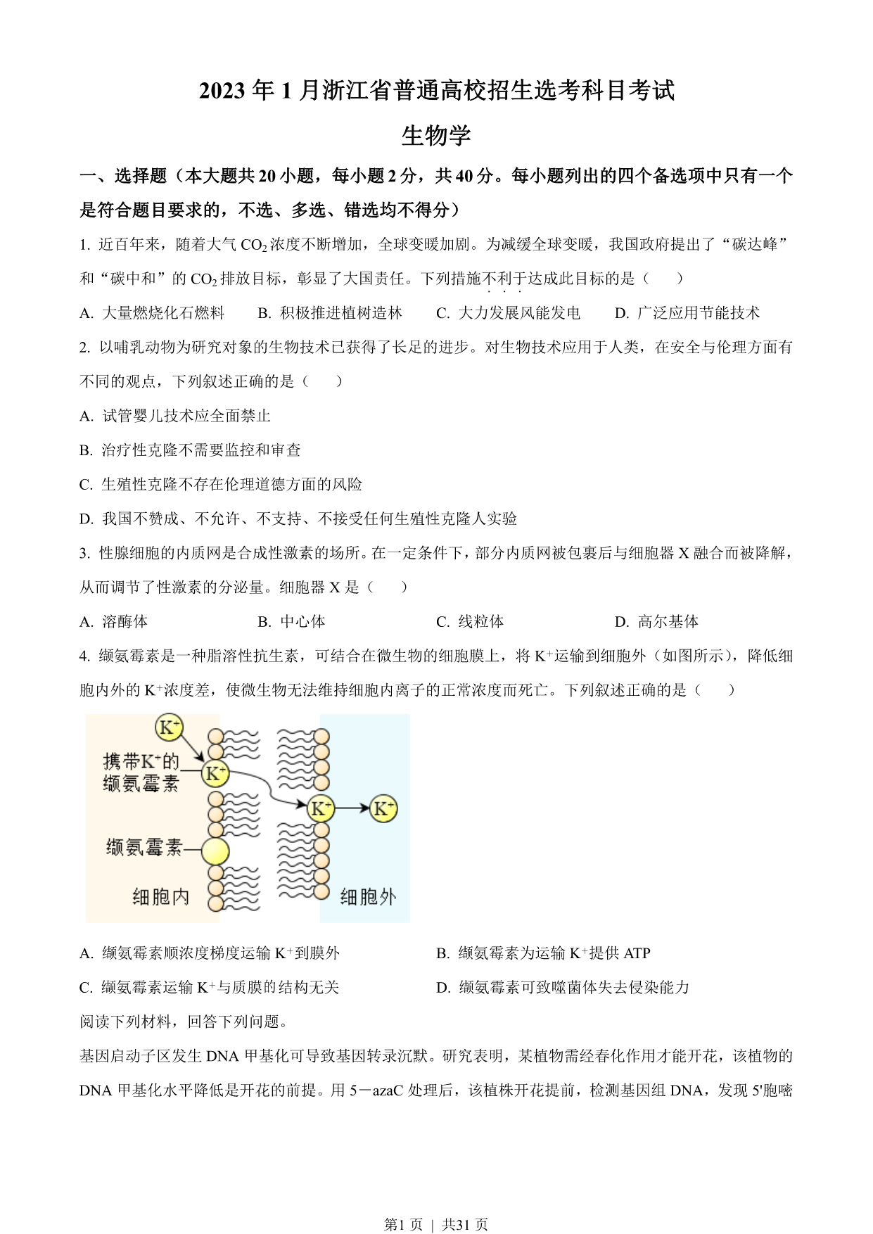 试卷预览图