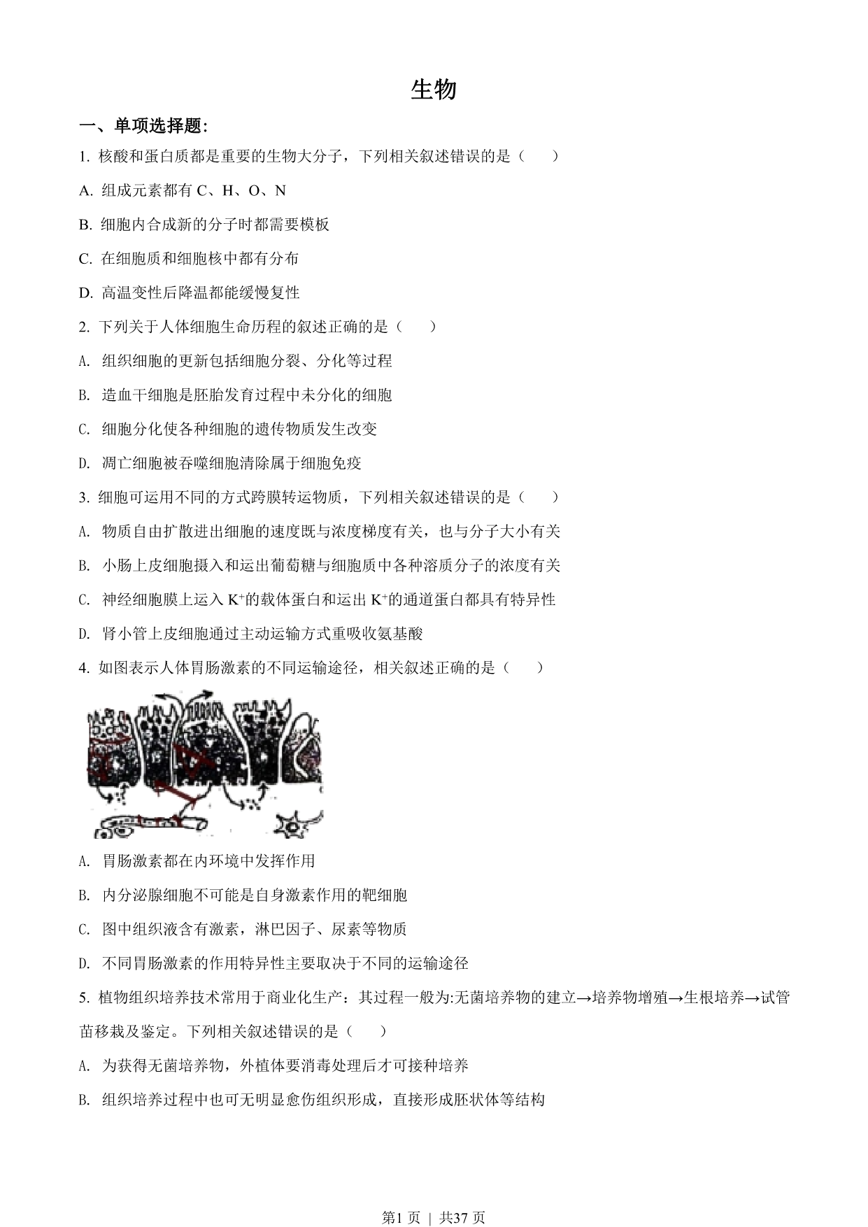 试卷预览图
