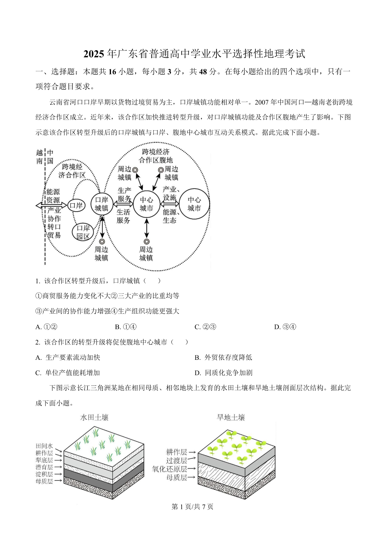 试卷预览图