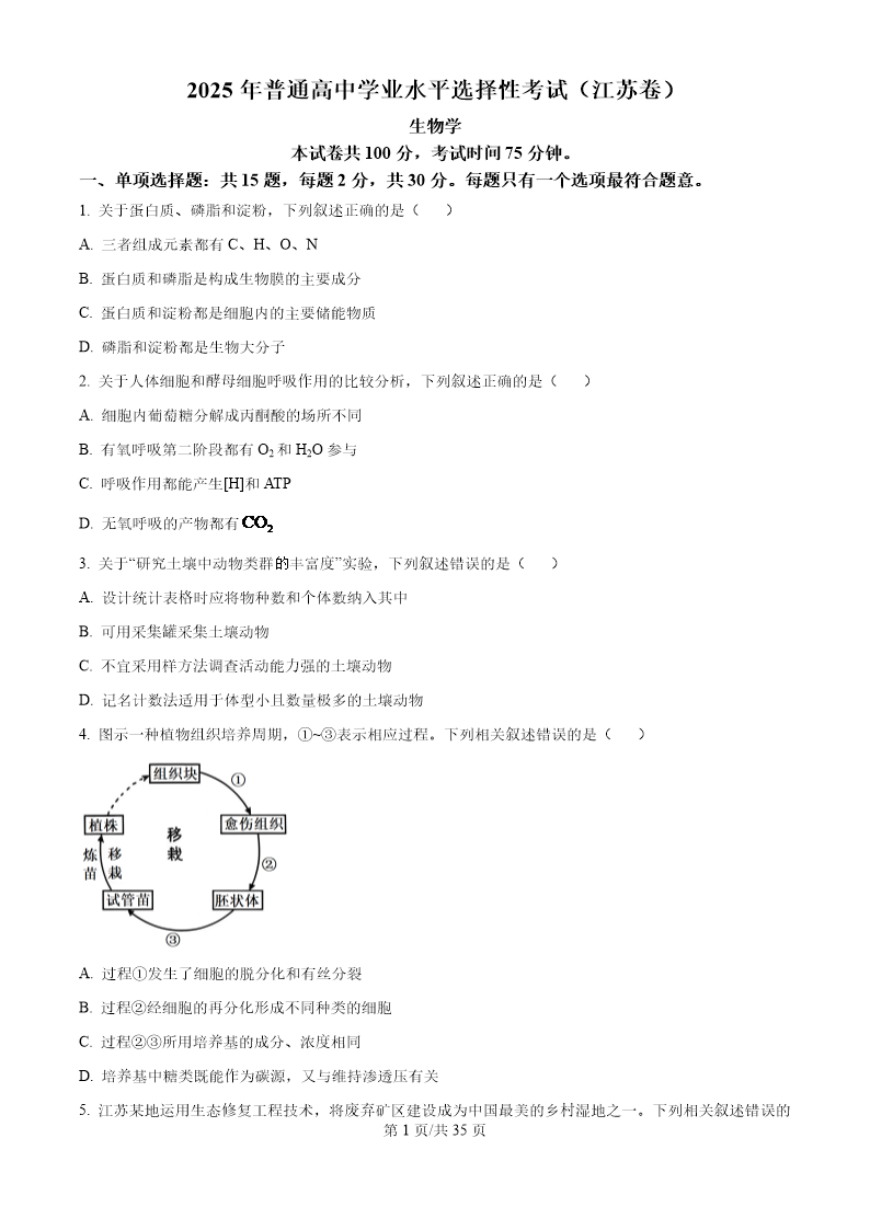 试卷预览图