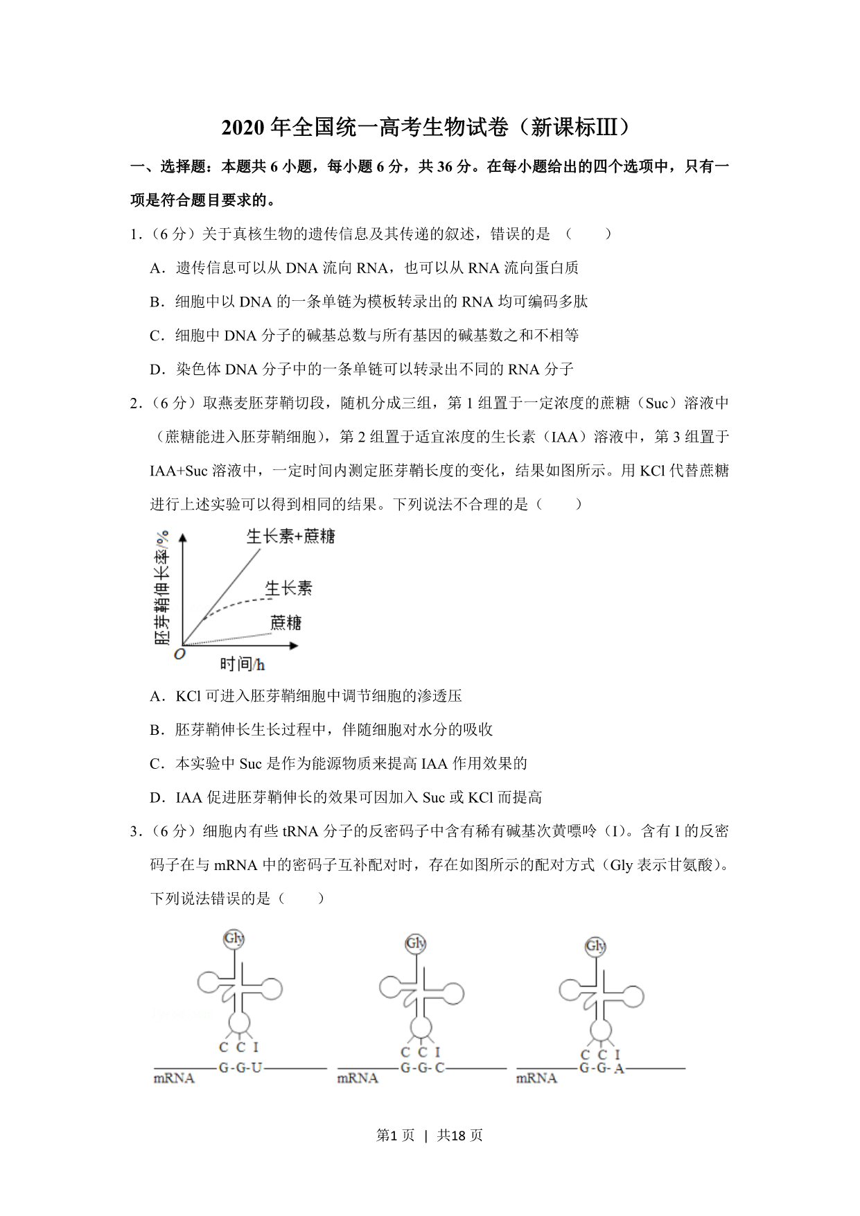 试卷预览图