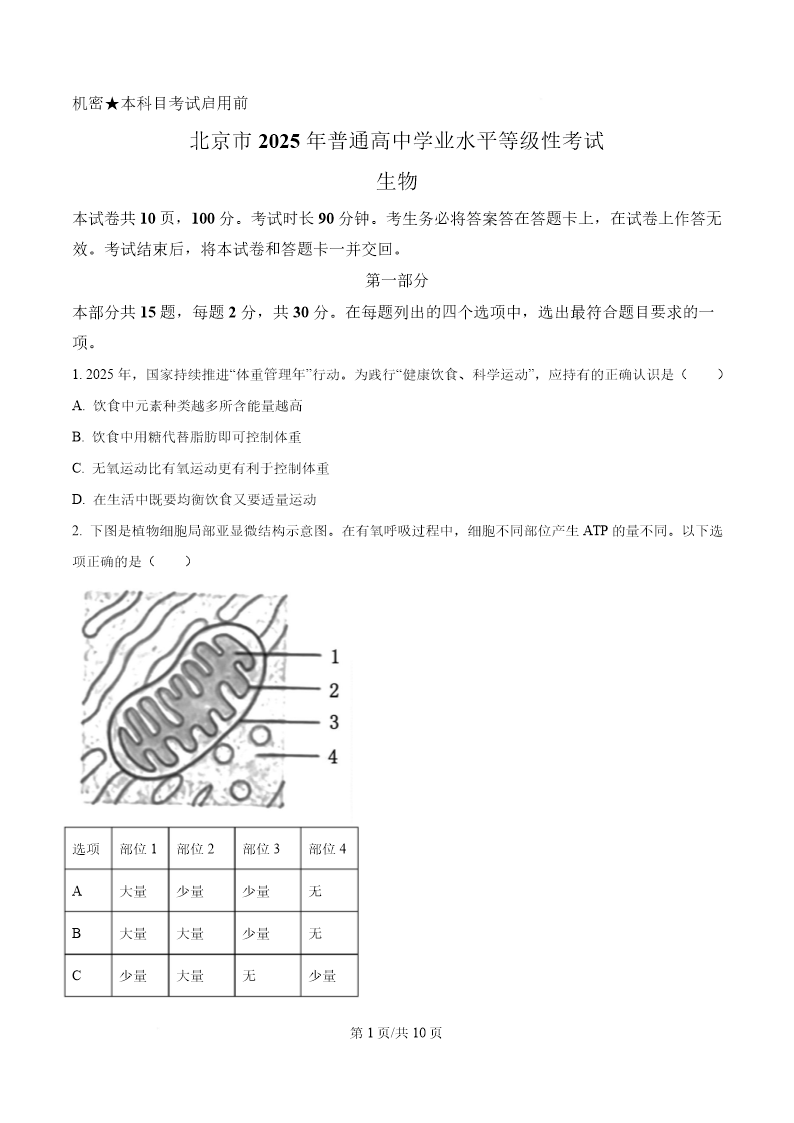 试卷预览图