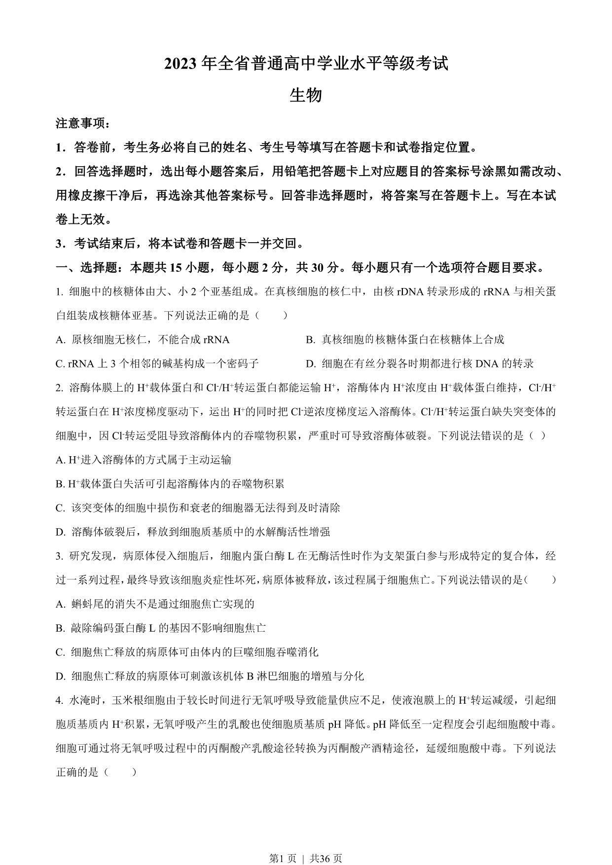 试卷预览图