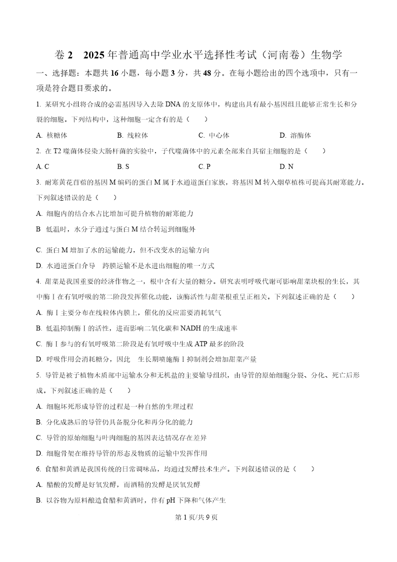 试卷预览图