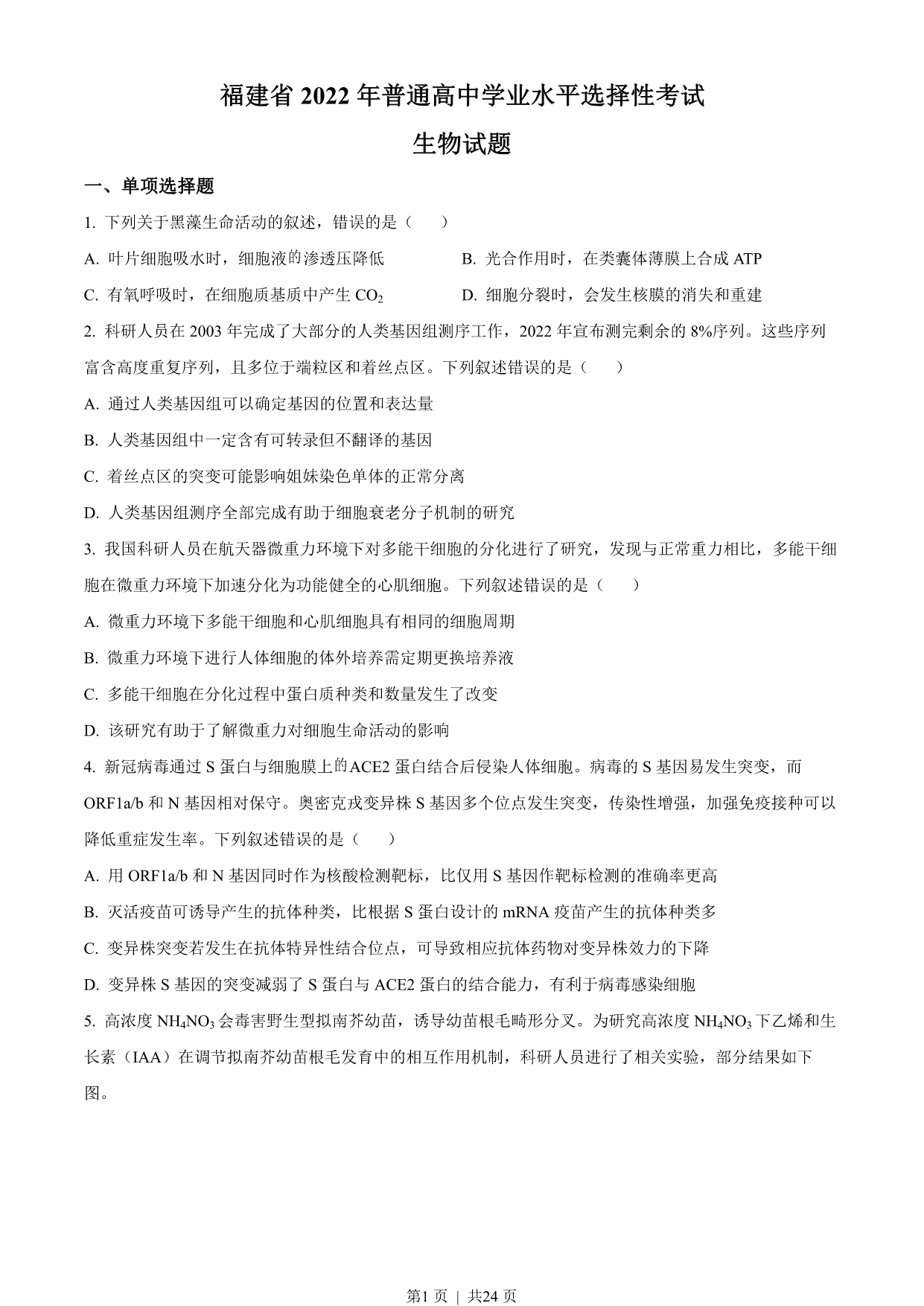 试卷预览图