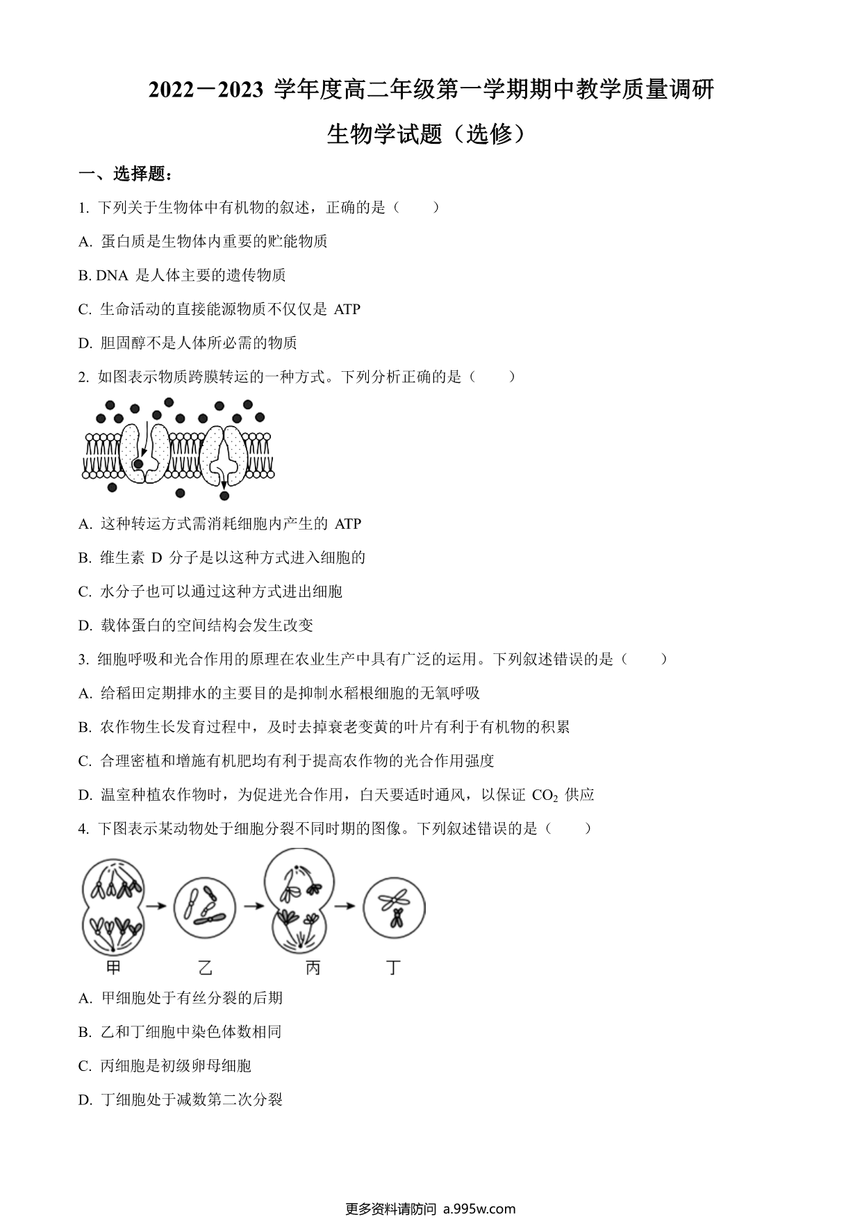 试卷预览图