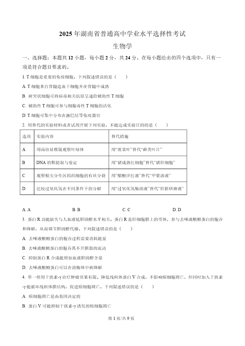 试卷预览图