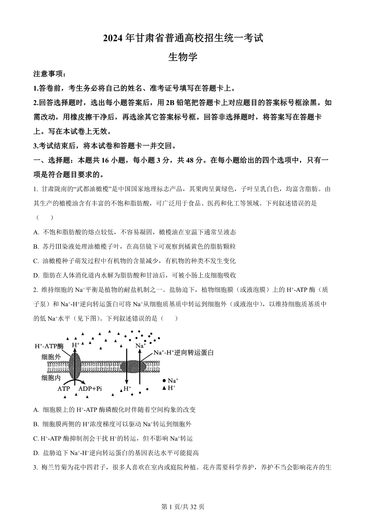 试卷预览图