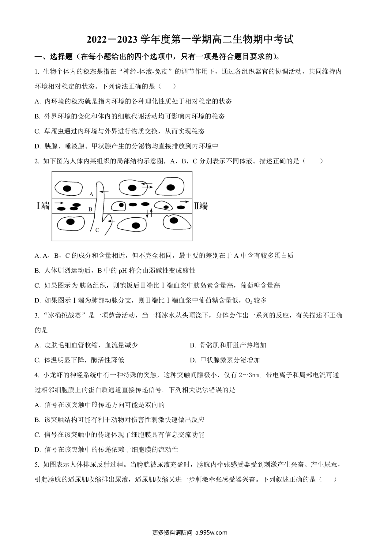 试卷预览图