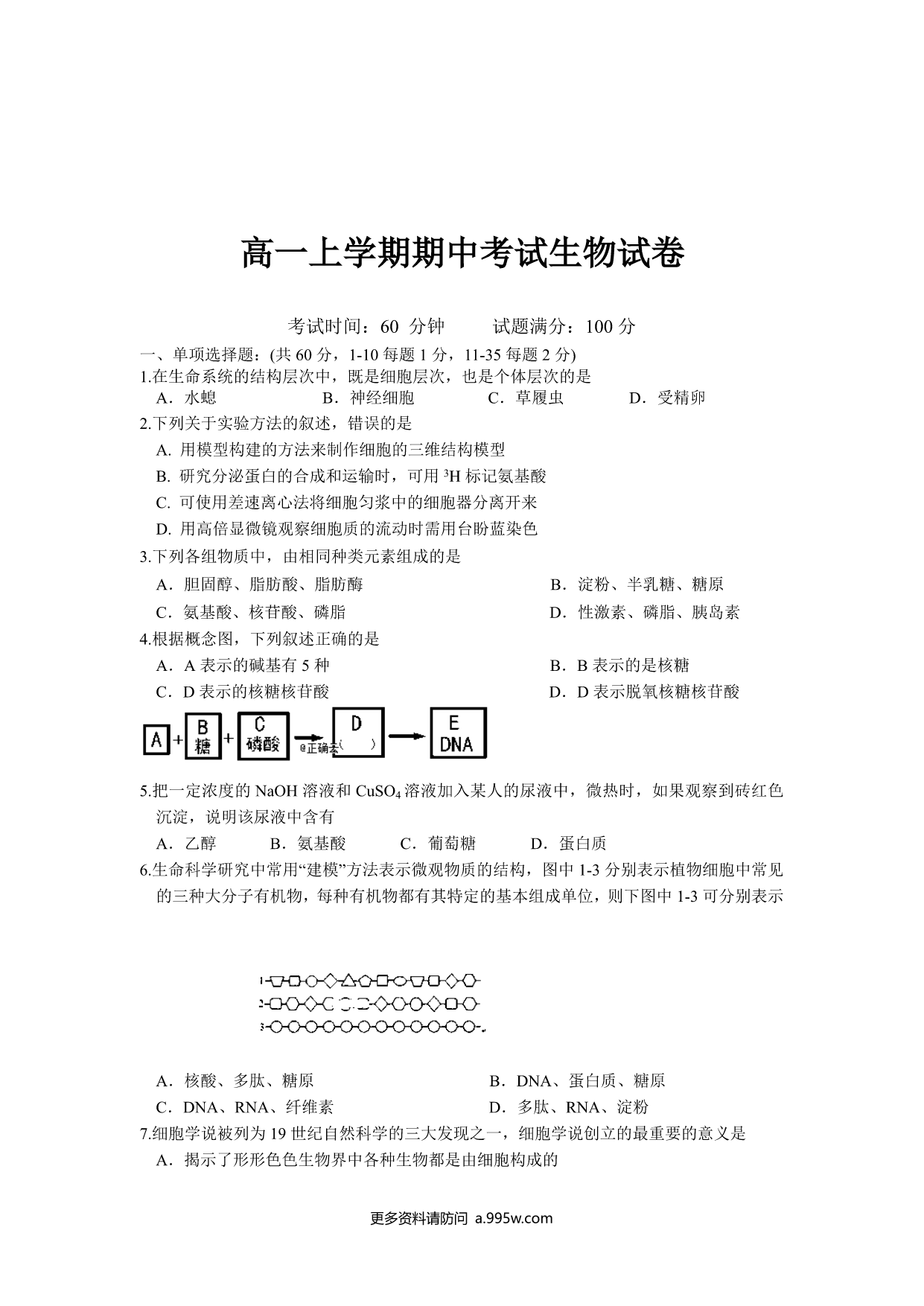 试卷预览图