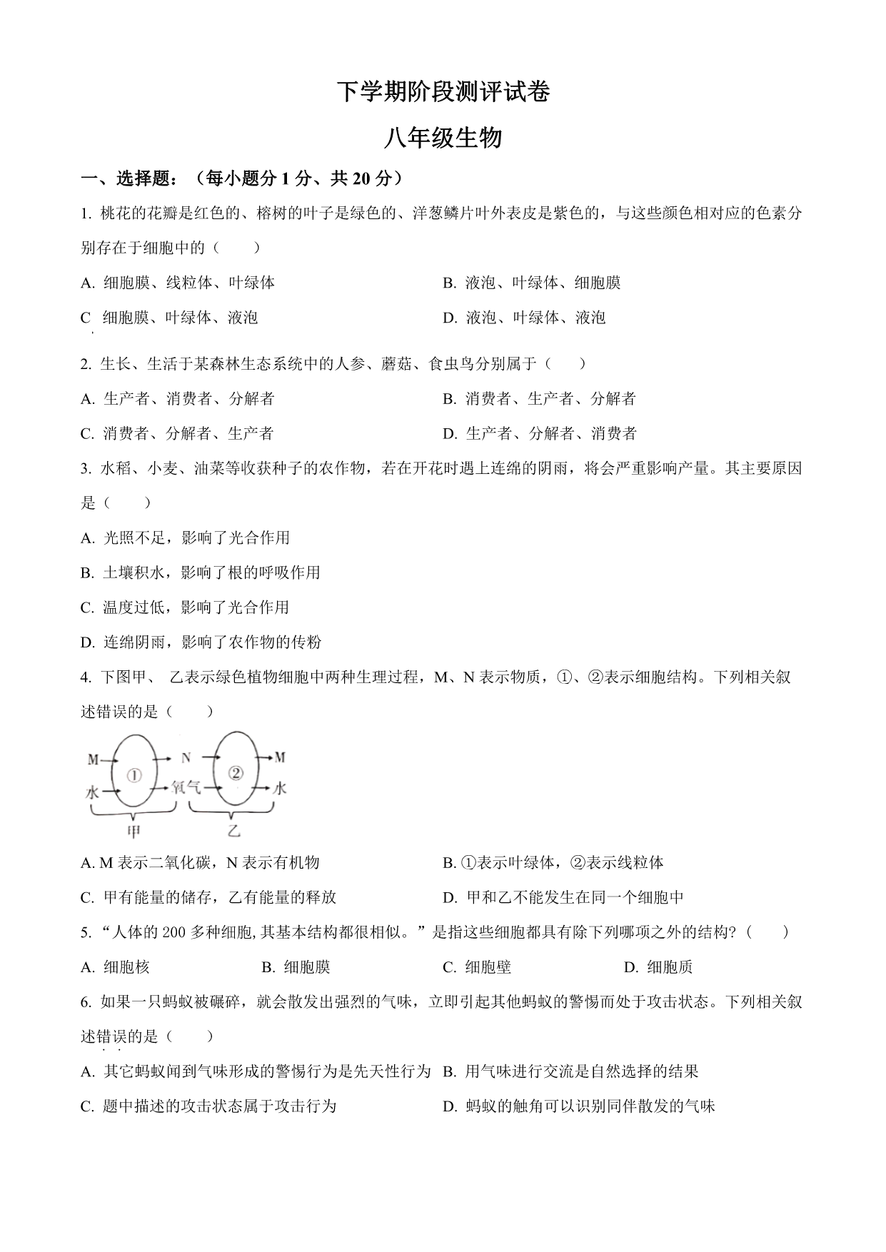 试卷预览图