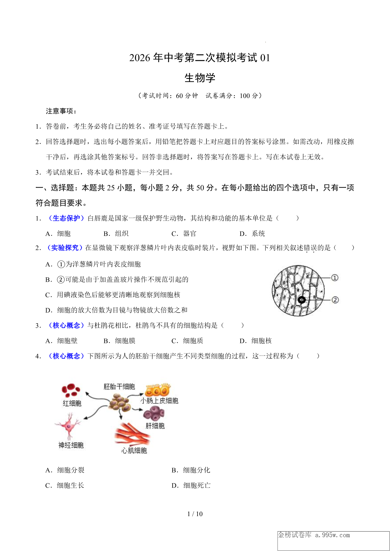 试卷预览图