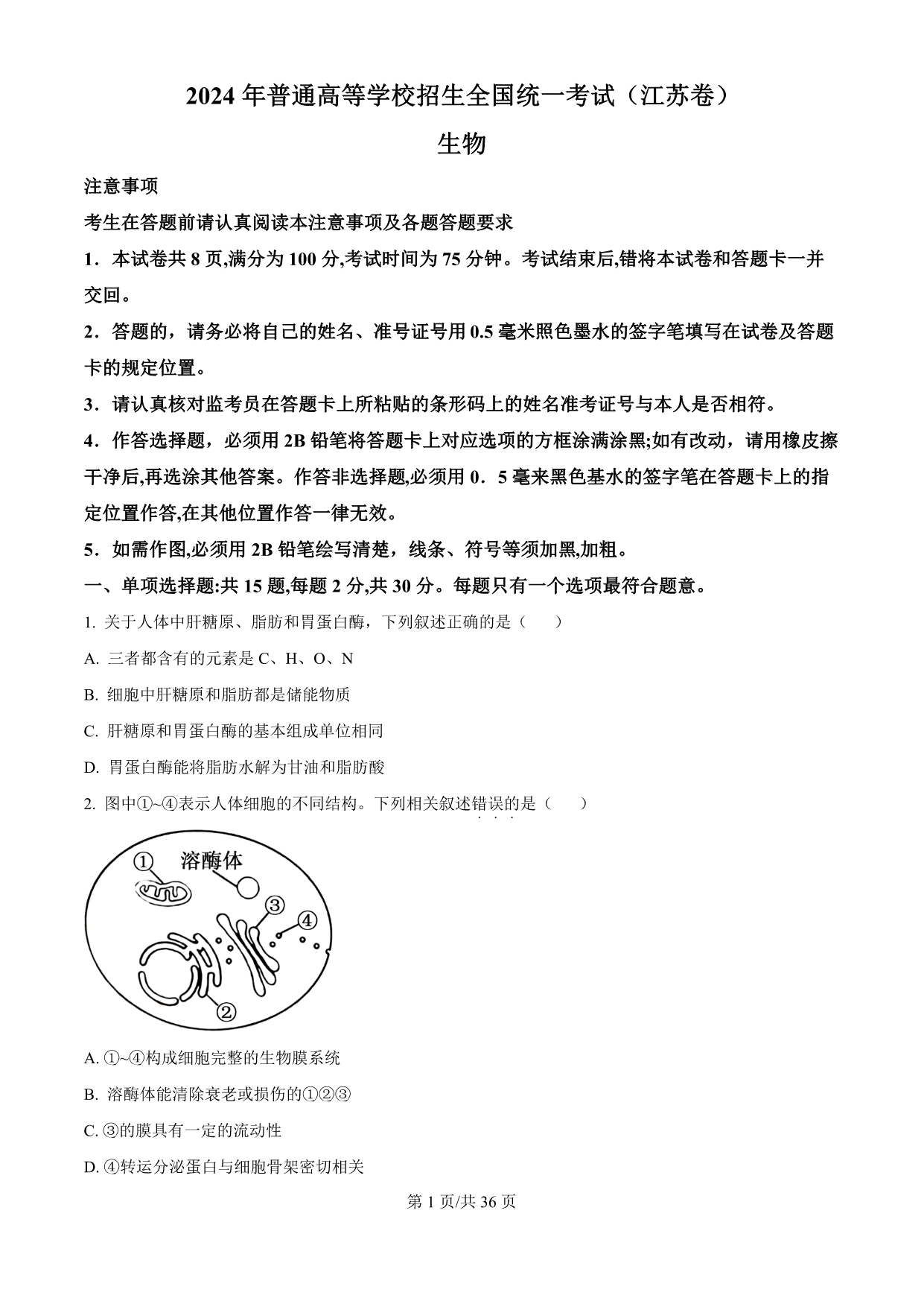 试卷预览图