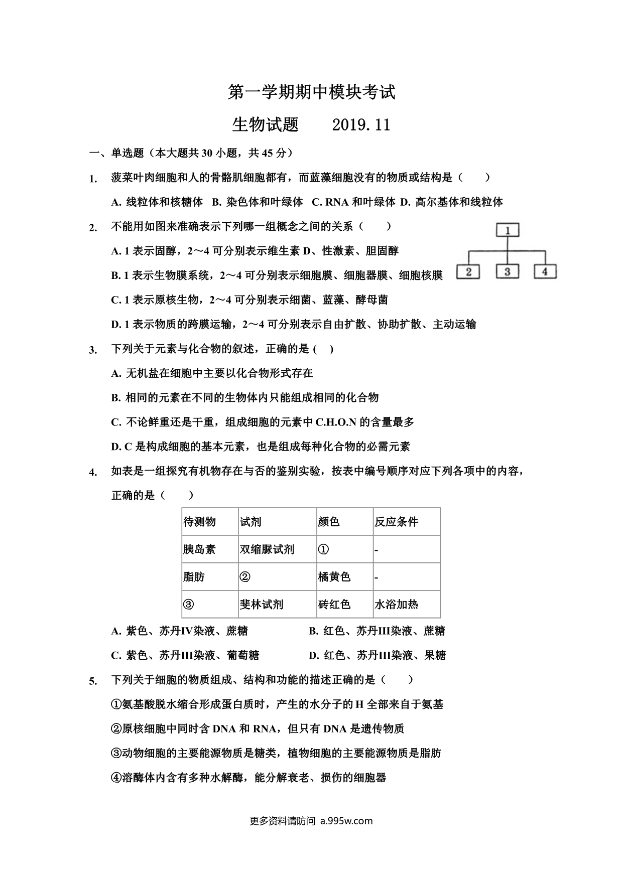 试卷预览图