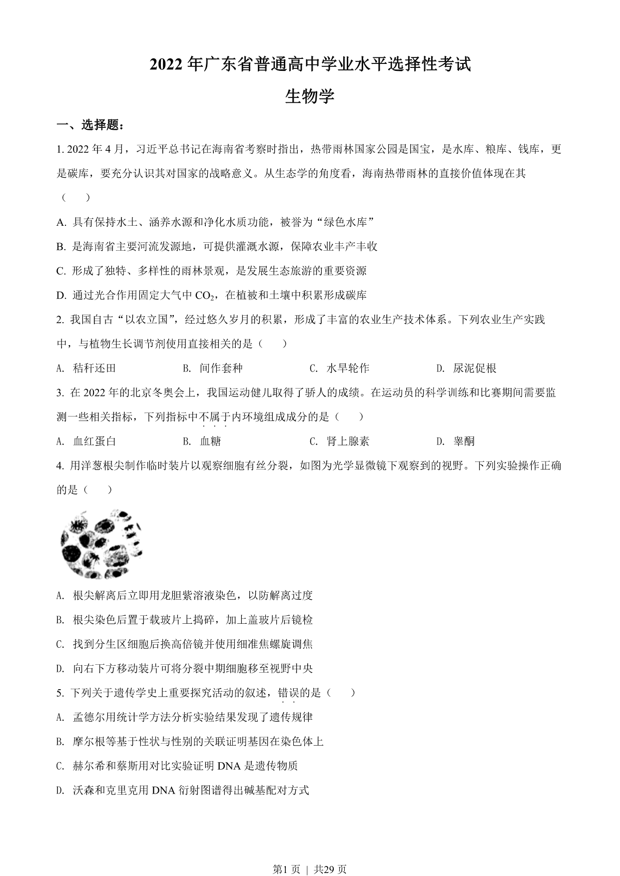 试卷预览图
