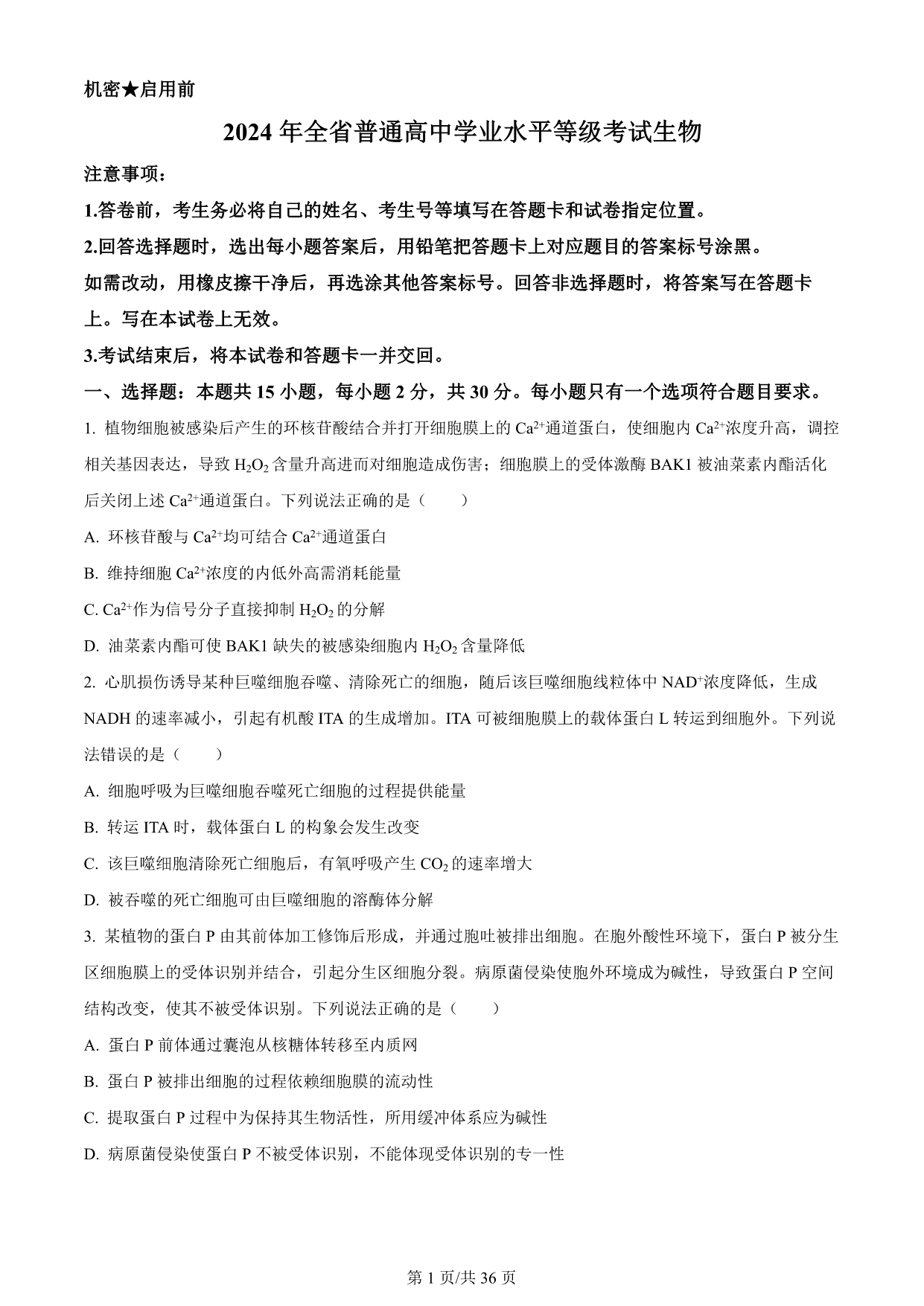 试卷预览图