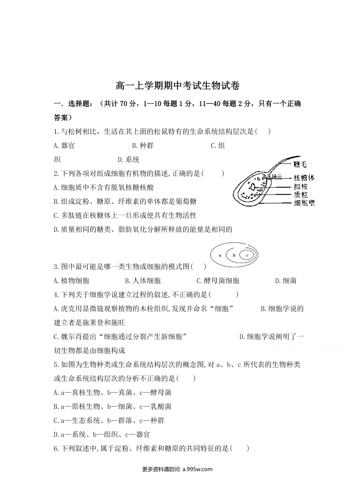 试卷预览图