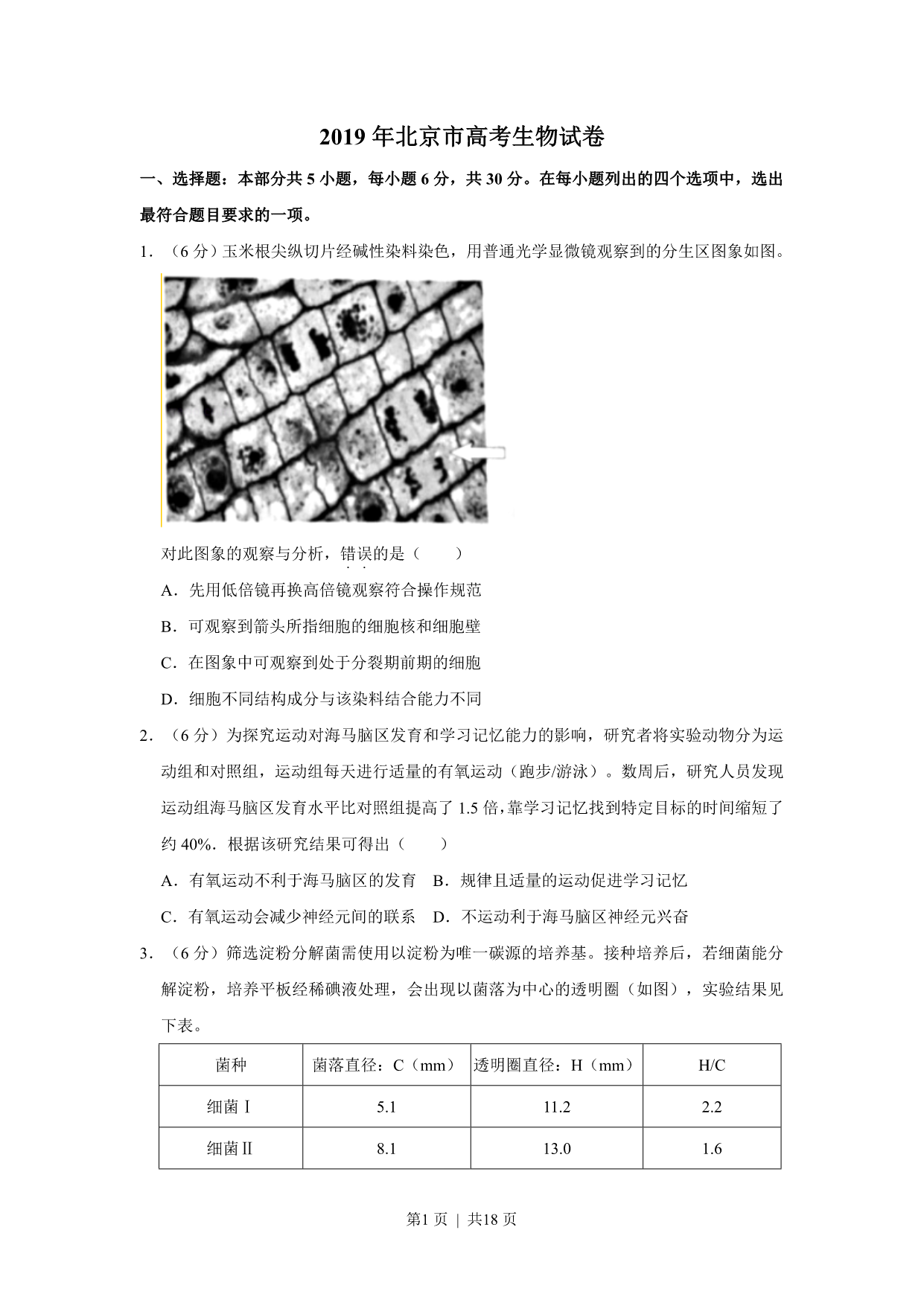 试卷预览图