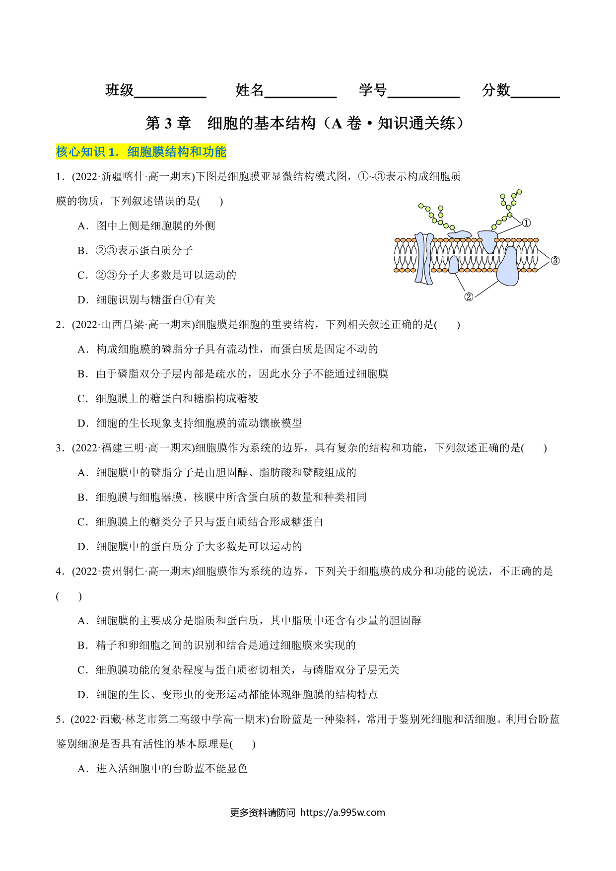 试卷预览图