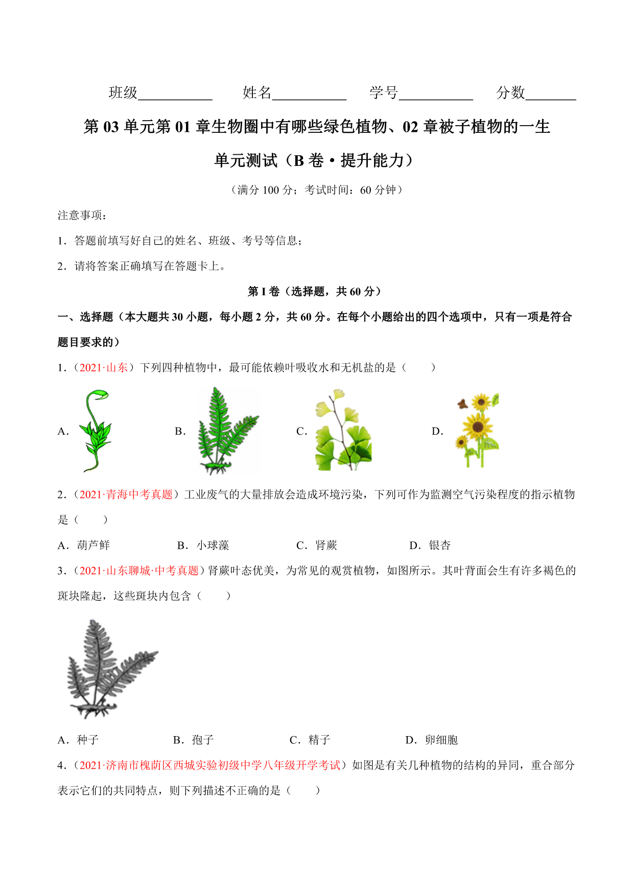 试卷预览图