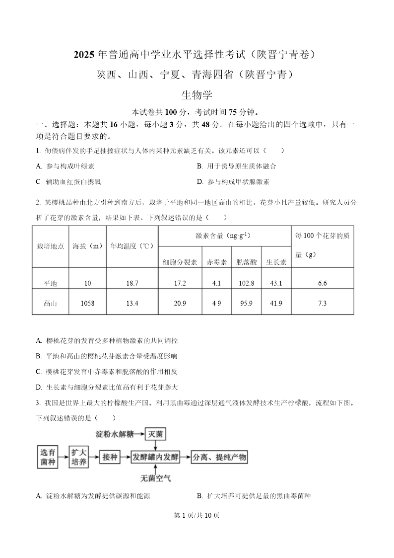 试卷预览图