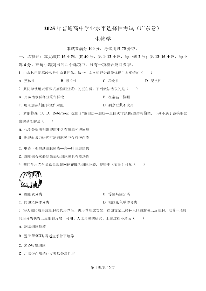 试卷预览图