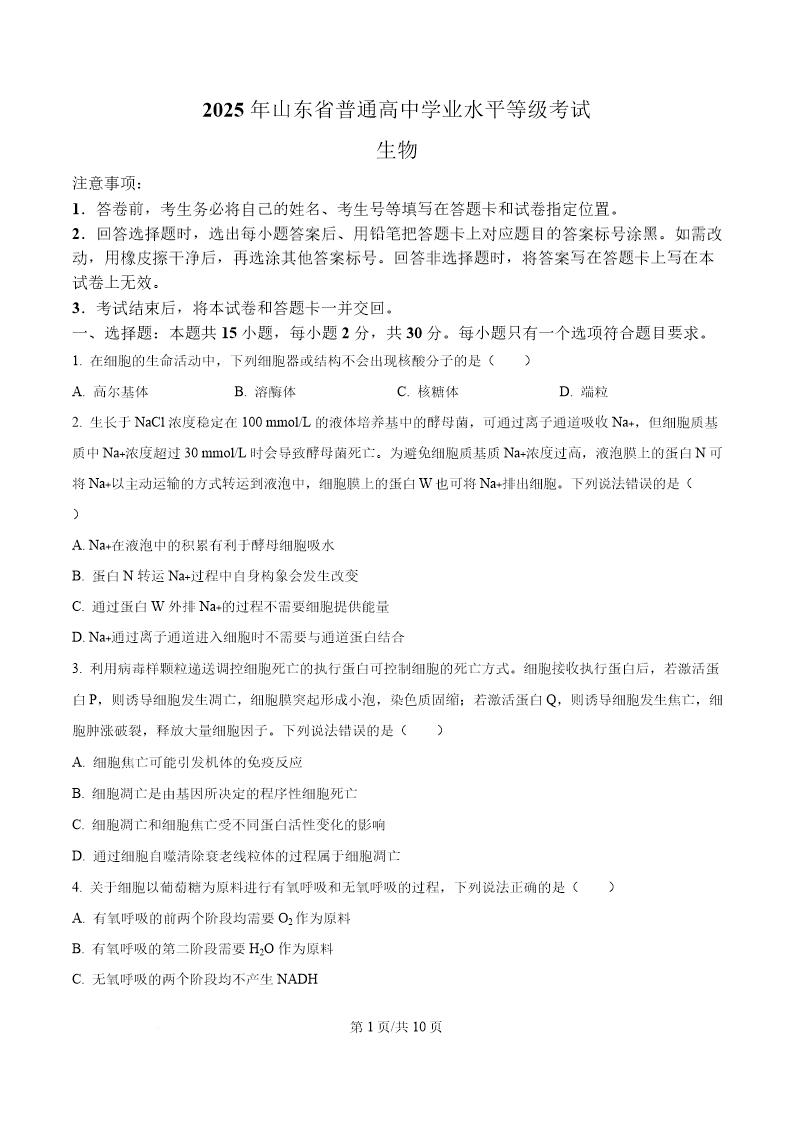试卷预览图