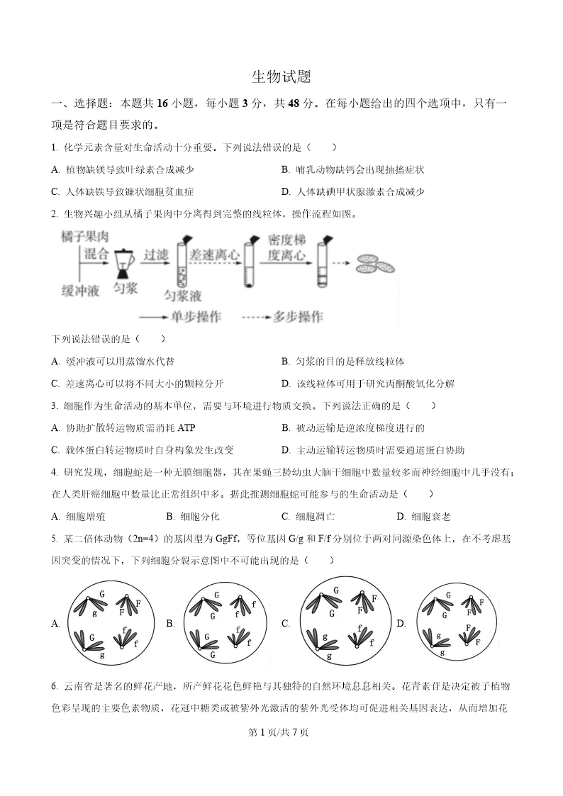 试卷预览图