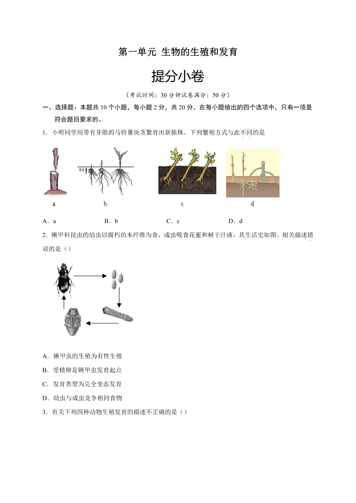 试卷预览图