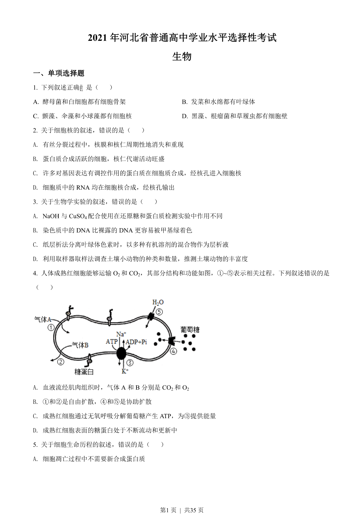 试卷预览图