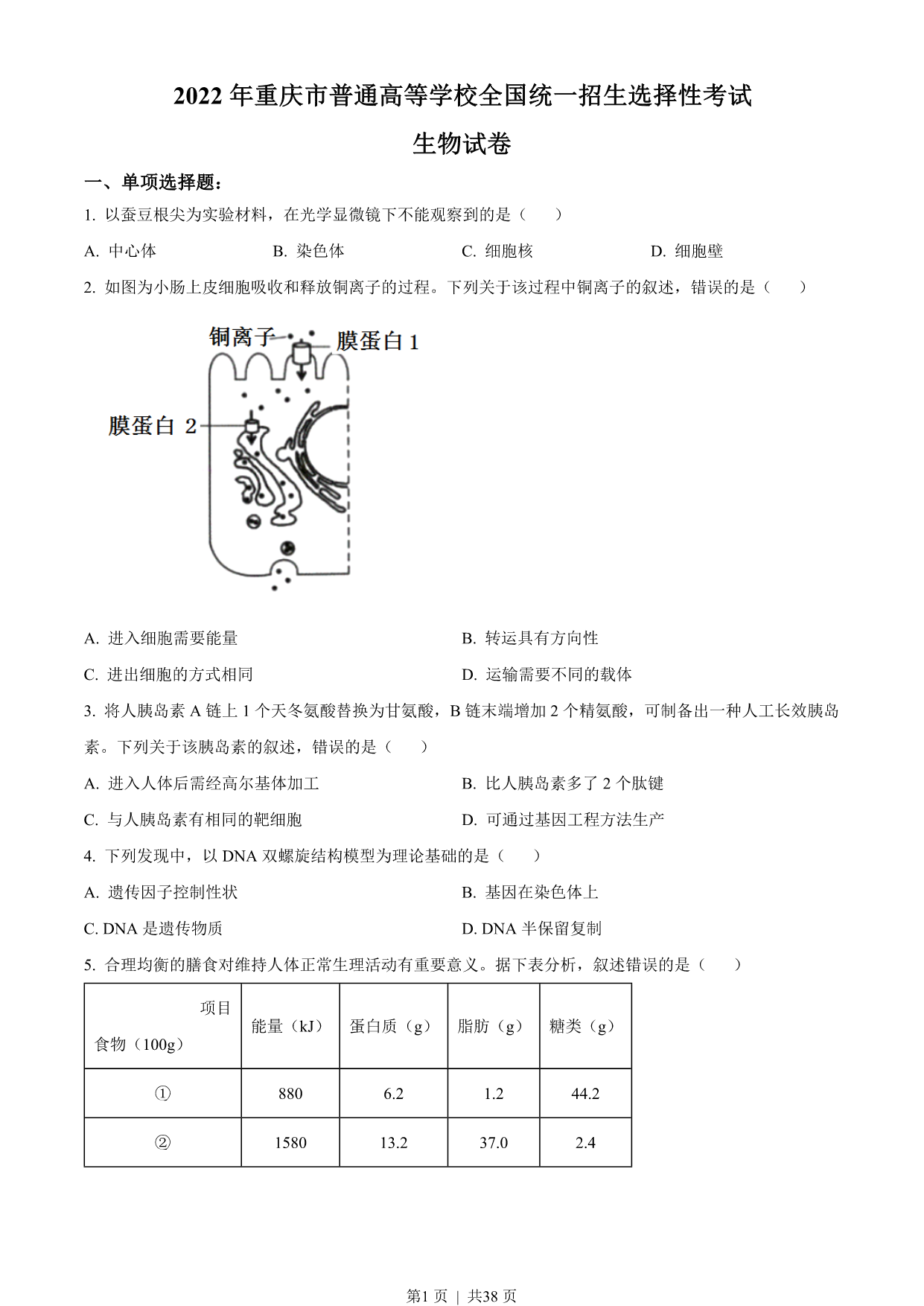 试卷预览图