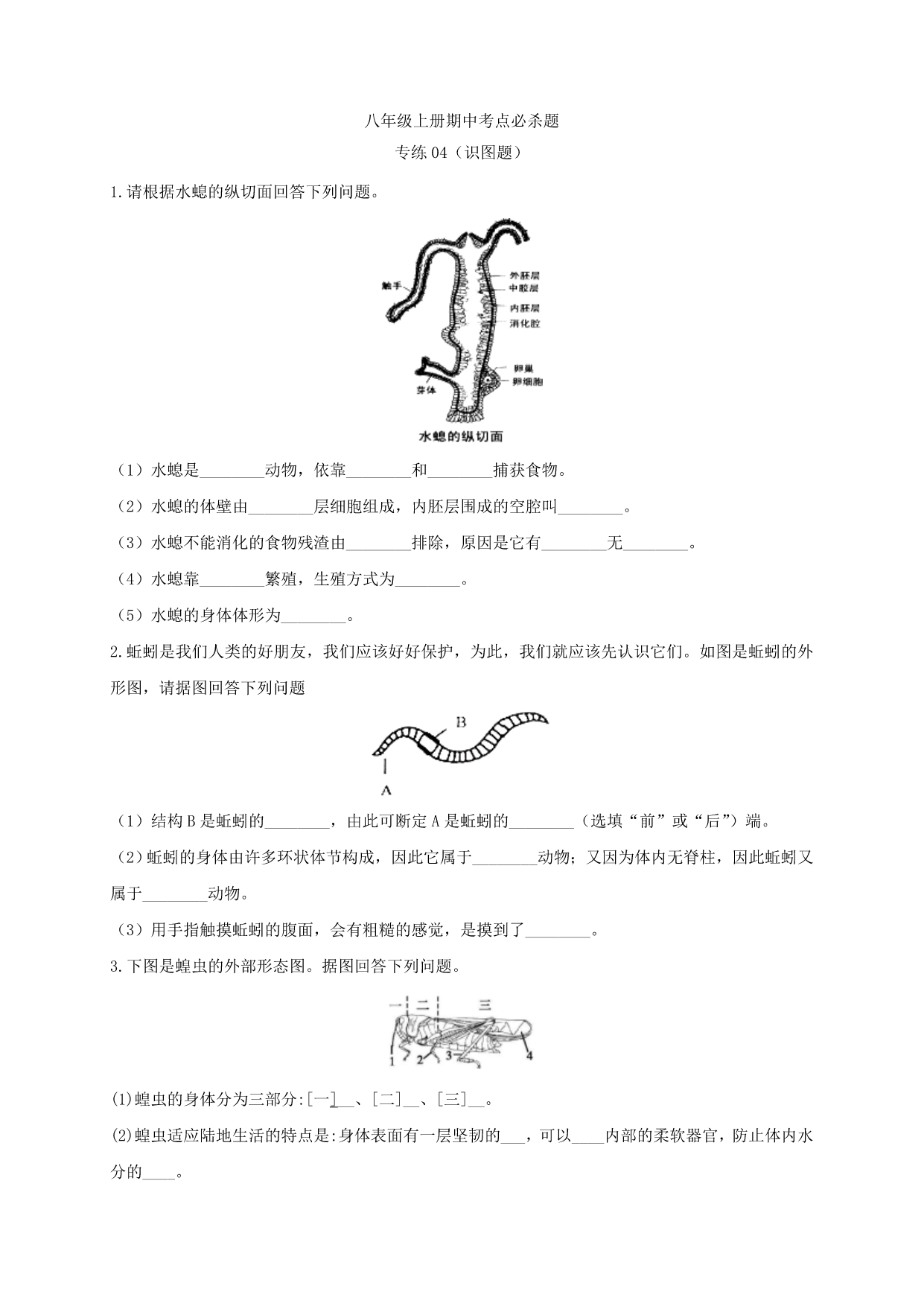 试卷预览图