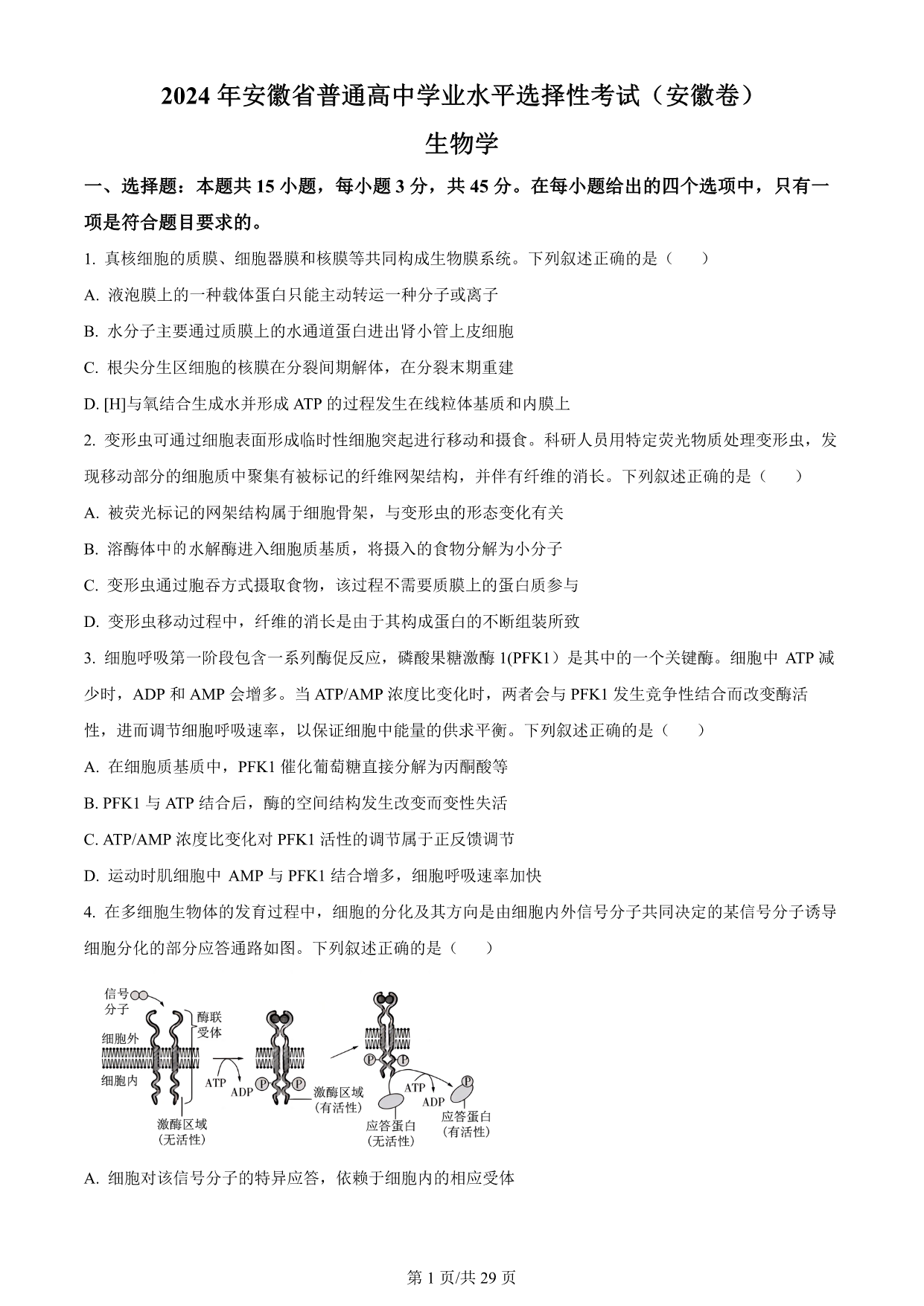 试卷预览图