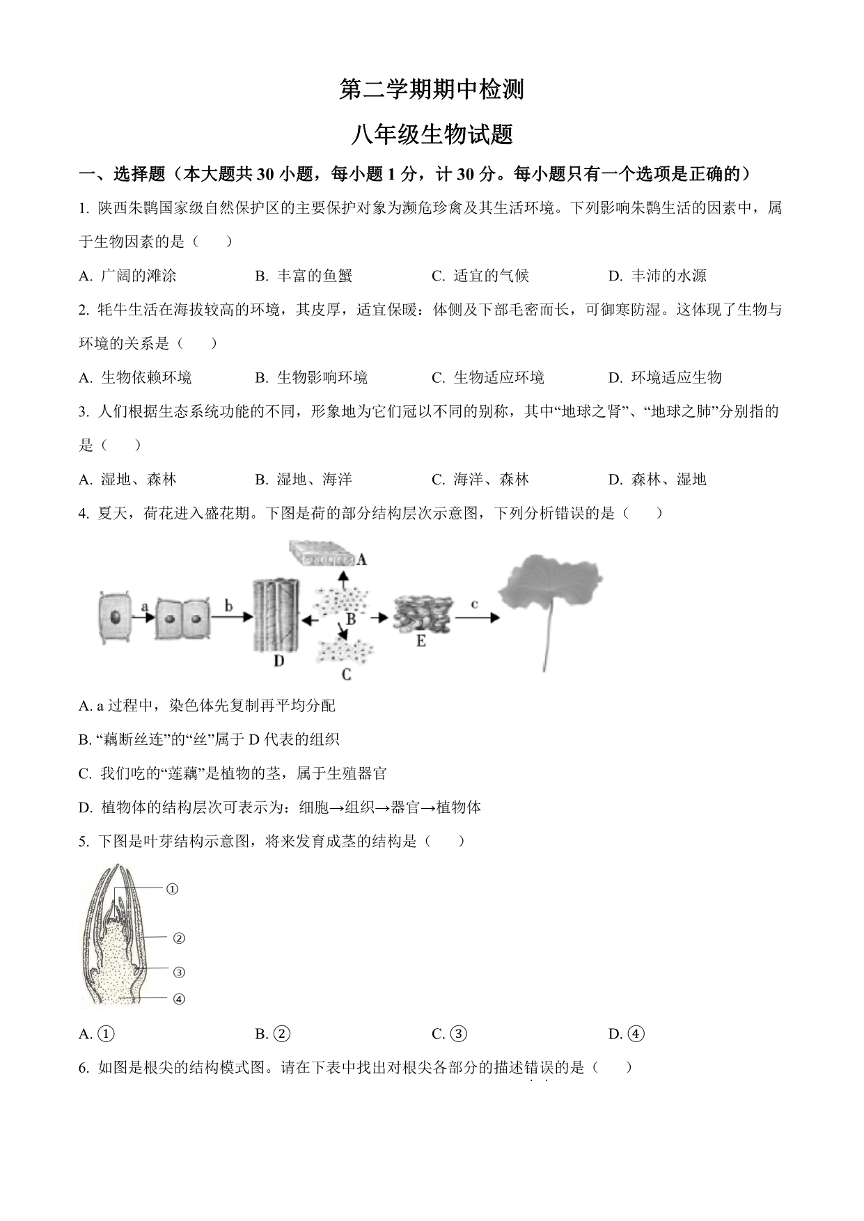 试卷预览图