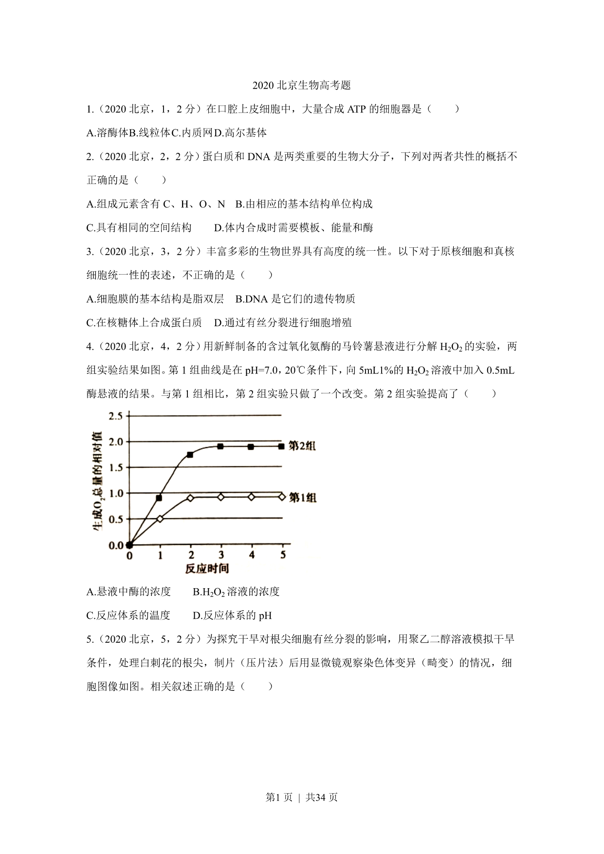 试卷预览图