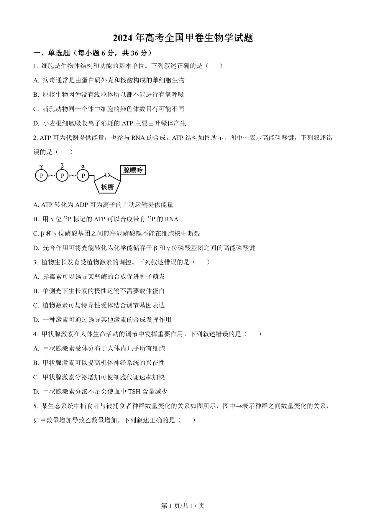 试卷预览图
