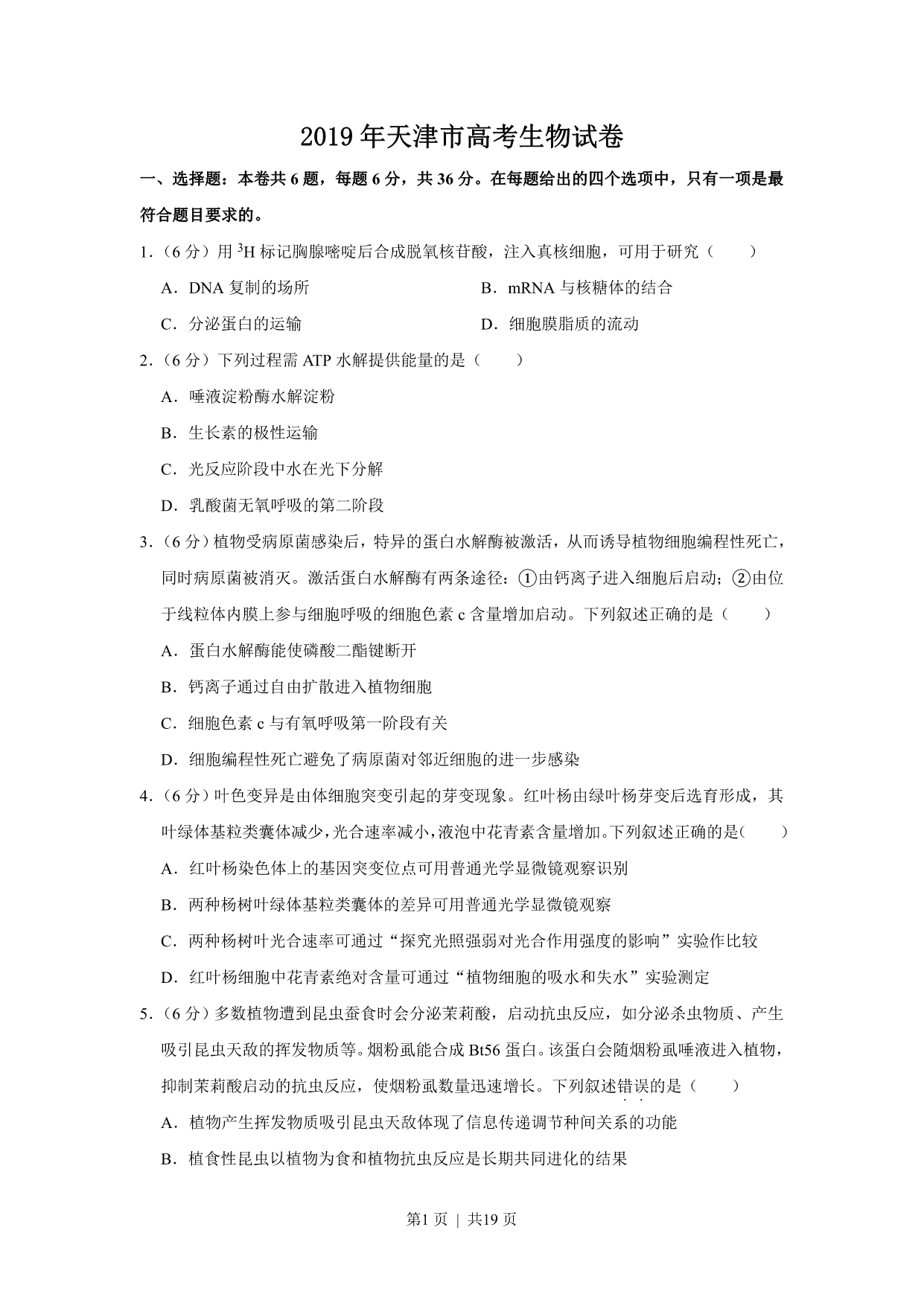 试卷预览图